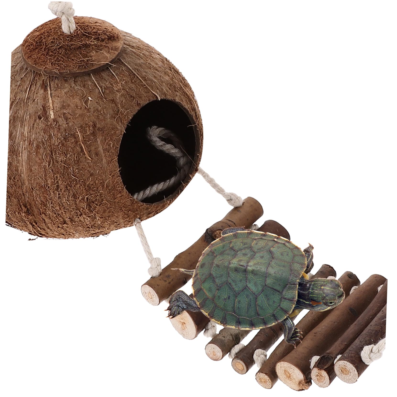 BESPORTBLE Casa para Cangrejo Ermitaño de Cáscara Natural con Escalera Hábitat para Cangrejo Ermitaño Decoración de Terrario para Reptiles Cueva Delicada para Terrario