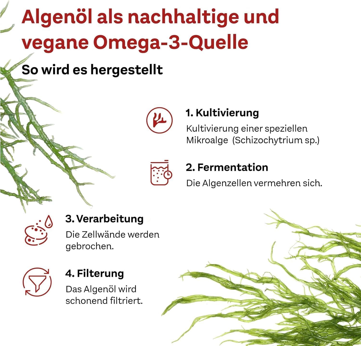 Doppelherz system OMEGA-3 PFLANZLICH – Algenöl – Vitamin D als Beitrag für die normale Funktion des Immunsystems – 2 x 120 Kapseln