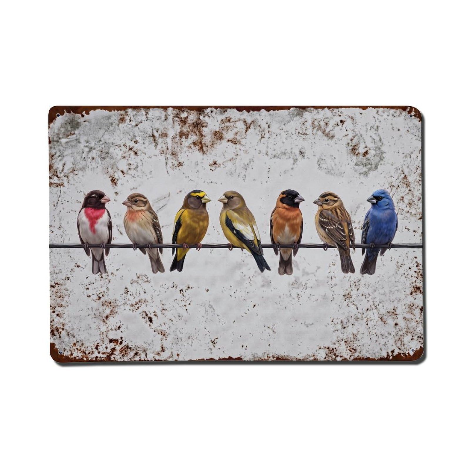 Vintage Retro Birds Grosbeak Metal Tin Sign