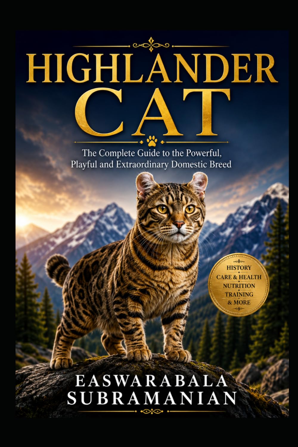 Highlander: 41