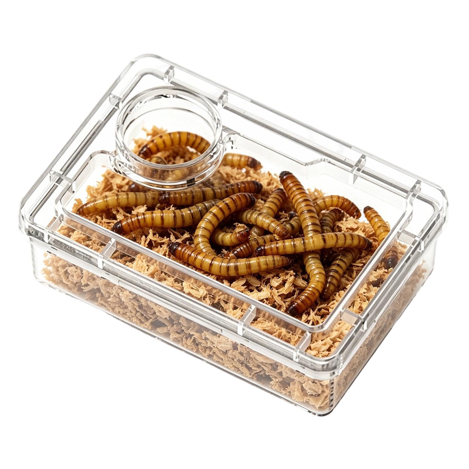 Generisch Reptile Feeding Bowl - Escape Proof Feeding Station for Reptiles - Gecko Terrarium Feeding Bowl for Chameleon, Iguana, Tarantula, Habitat, Terrarium, and Office Area