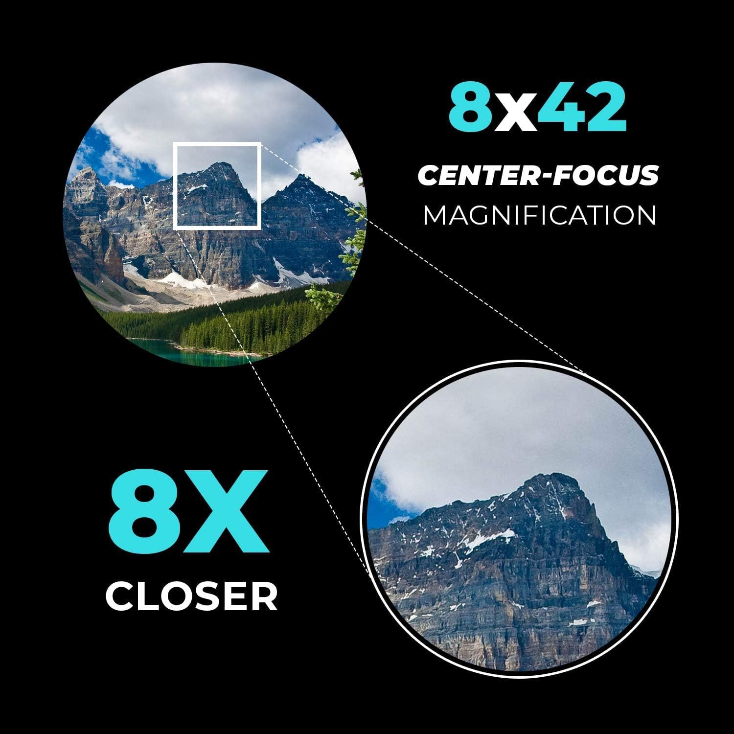 Wingspan Optics WideViews HD 8X42 Professional Binoculars for Bird Watching. Extra-Wide Field of View for the Brightest, Clearest Detail. Close Focus for Closer Views.HD Quality at an Affordable Price - Image 3