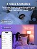 meross Smart Wi-Fi bulb works with Apple HomeKit, WiFi lamp, LED, multi-color, dimmable bulb, compatible with Siri, Alexa, Google Home and SmartThings, E27 warm white