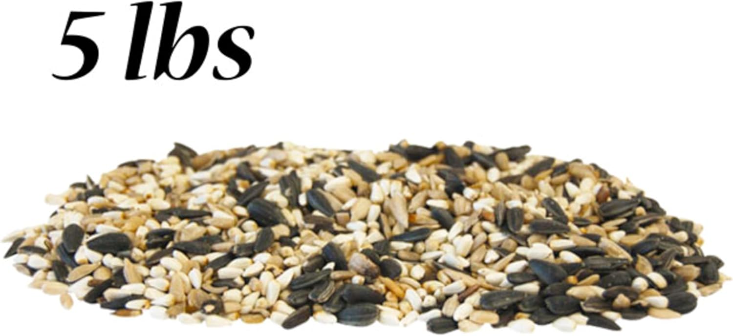 BestNest Mixed Seed Sampler Package, 50 lbs – 5 Varieties of Premium Wild Bird Seed Blends (10 lbs Each) – Sunflower, Millet & Peanut Mixes for Tube, Hopper & Platform Feeders