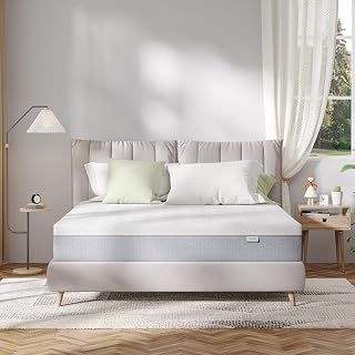 Novilla Bliss Queen Mattress 10 Inch Gel Memory Foam - Cooling, Pressure Relief, Medium Plush for Pain-Free Sleep