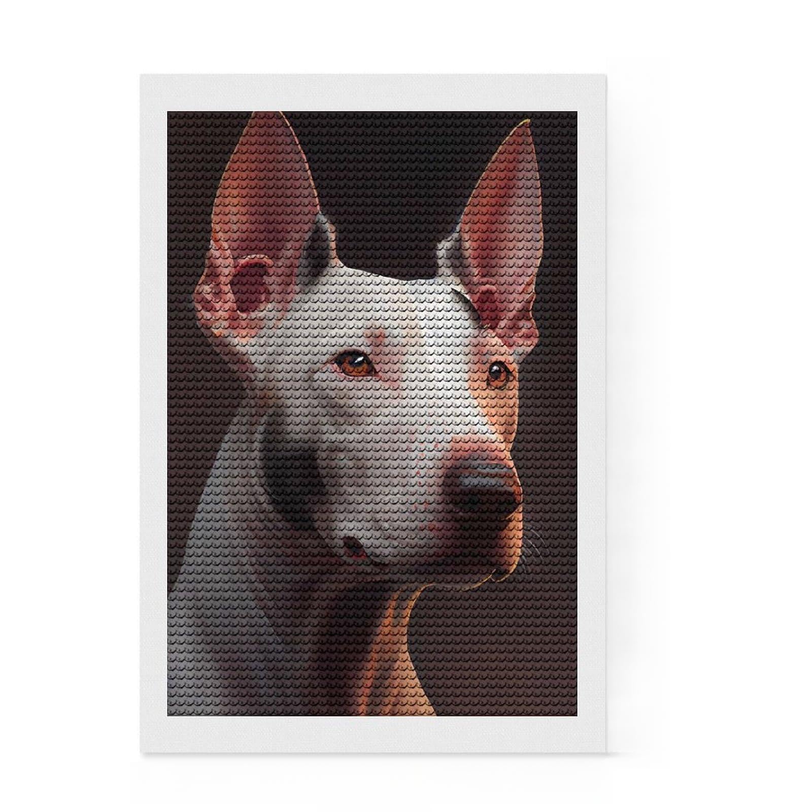 Junmoney Bull Terrier Oil Paint Diamond Art Kit 8"x12", for Family Craft Time, Adhesive Canvas, Modern Decor, Festive Craft Gift, with Tool Kit