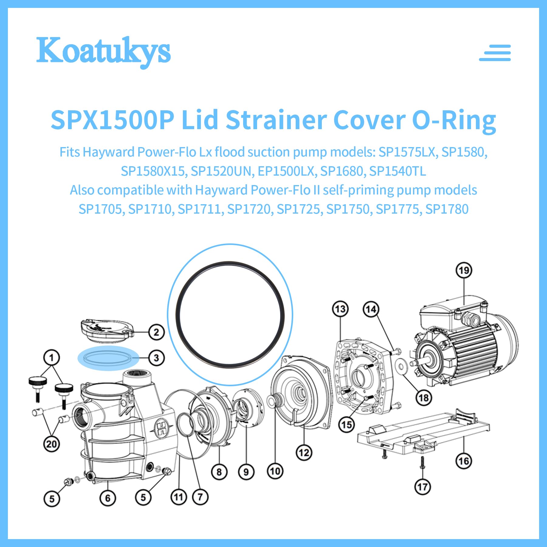 Hayward Sostituzione O-Ring coperchio filtro SPX1500P per Hayward Sostituzione O-Ring coperchio filtro SPX1500P per