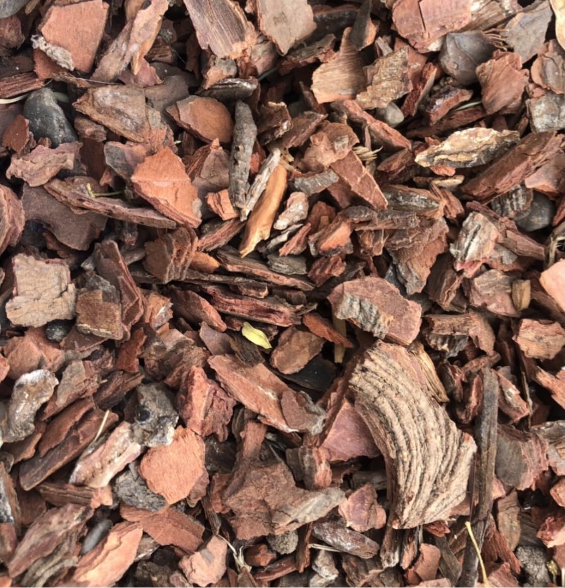 Corteza de Pino Natural - 5kg - Ideal para Cubrir Jardines