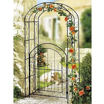 ガーデンアーチ　扉つき　未使用 国華園オンラインショップ / 鉄製扉付きローズアーチ1個 アーチ