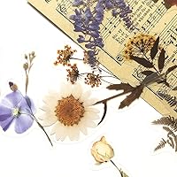 Vista 5 de Juego de calcomanías de plantas de flores (120 piezas) – Adhesivo decorativo transparente PET para álbumes de recortes, planificador de diario