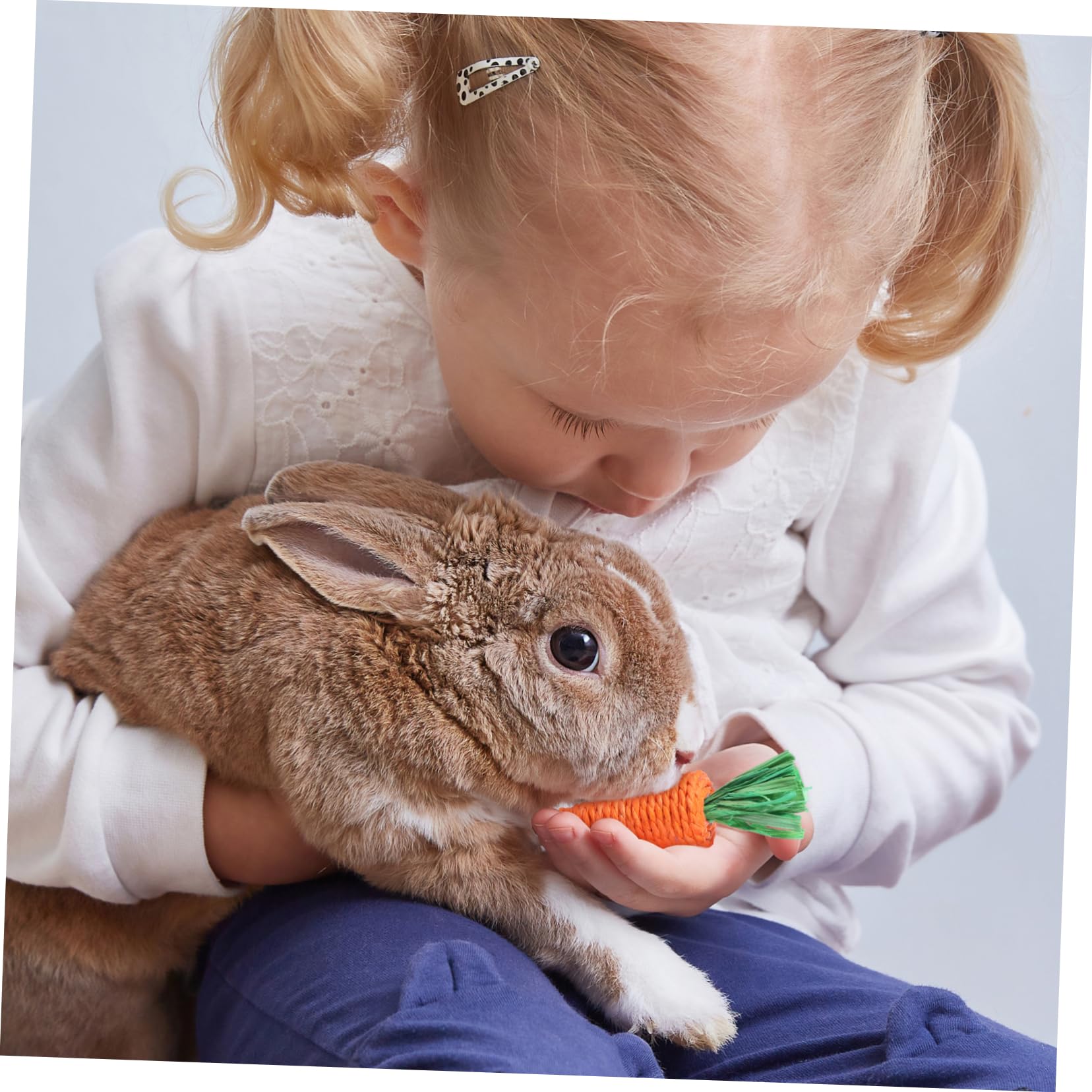 BESPORTBLE 30pezzi Giocattoli Da Masticare Per Piccoli Animali Da Carote Molar Radish Materiale Naturale Per Conigli Cavia e Criceti Sicuri e Resistenti Per Gioco e La Masticazione