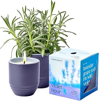 Modern Sprout Garden Vibes - 6oz Soy Wax Candle and Planter - Violet Hour | 2-in-1 Scented Candle W/Lavender Seeds Lavender,Grape Soda,Wild Iris,Violet- Dual-Purpose Jar - 38-40 Hr Burn- Ideal Gift