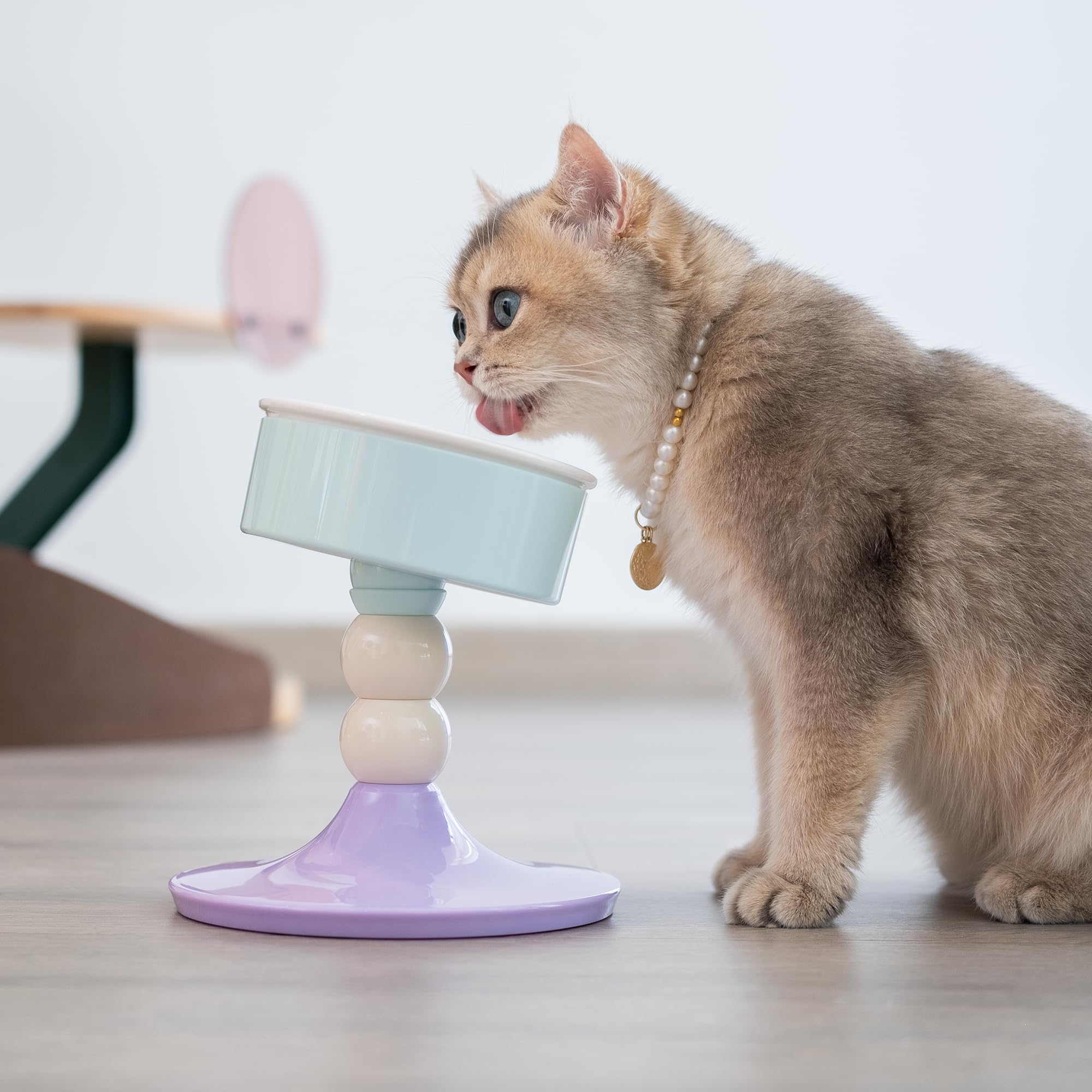 Adjustable Elevated Cat & Dog Bowl Stand – 15° Tilt, 3 Height Settings, Ceramic Dish With 360° Rotation, Anti-Slip Base For Whisker Relief & Better Digestion