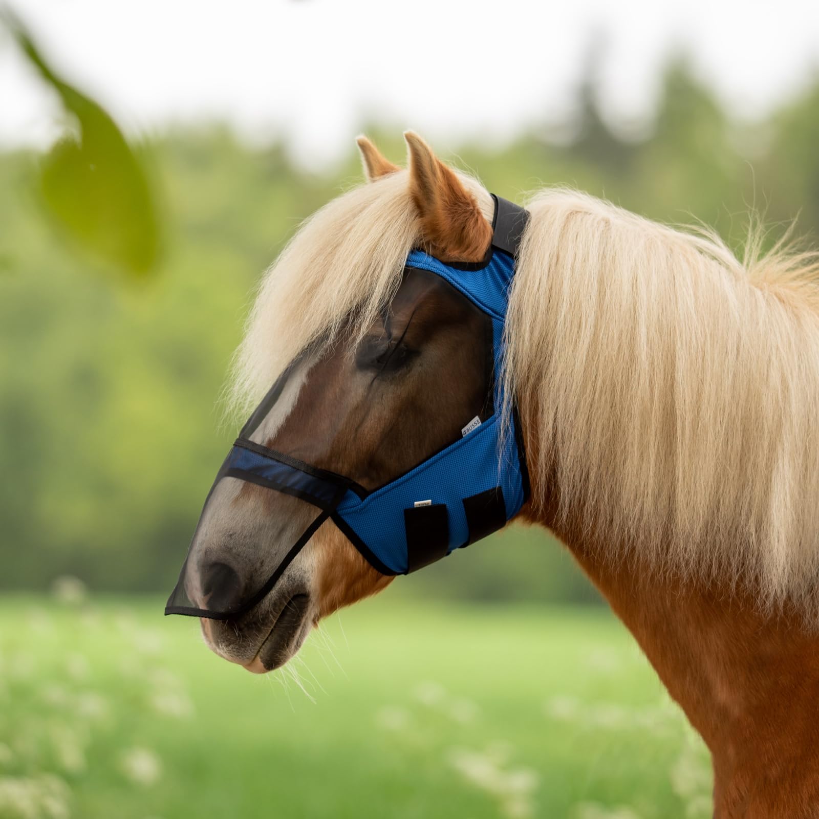 Masque anti-mouches Busse Fly Guard Free Plus bleu VB pour protection intégrale du cheval