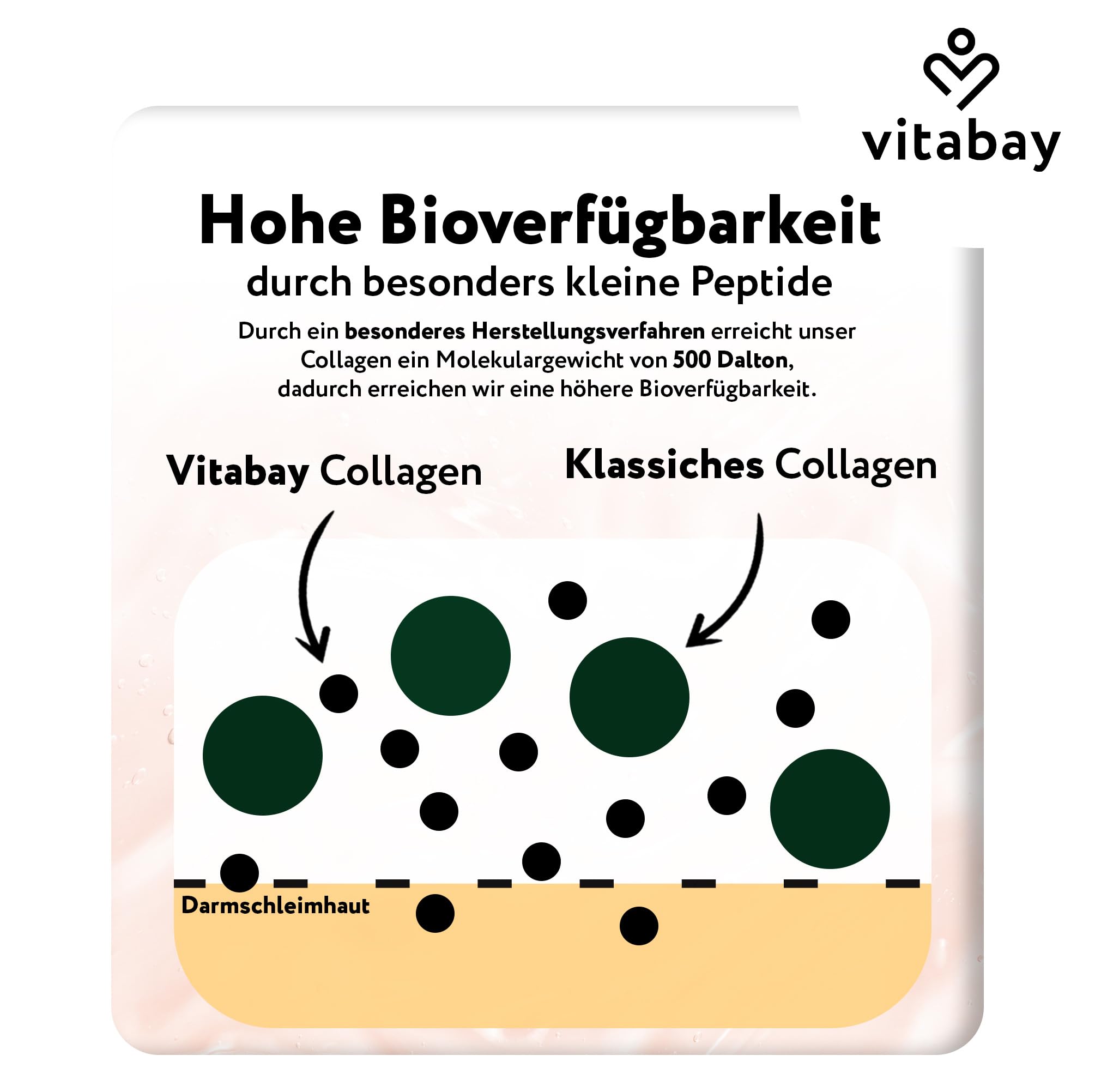 Vitabay Kollagen Pulver Komplex 2x1 kg Hochdosiert – Biotin & Hyaluronsäure | Bioaktive Collagen Hydrolysat Peptide Typ 1, 2, 3, 5, 10 – mit Vitamin C – Reine Qualität – Laborgeprüft & Geschmacksneutral
