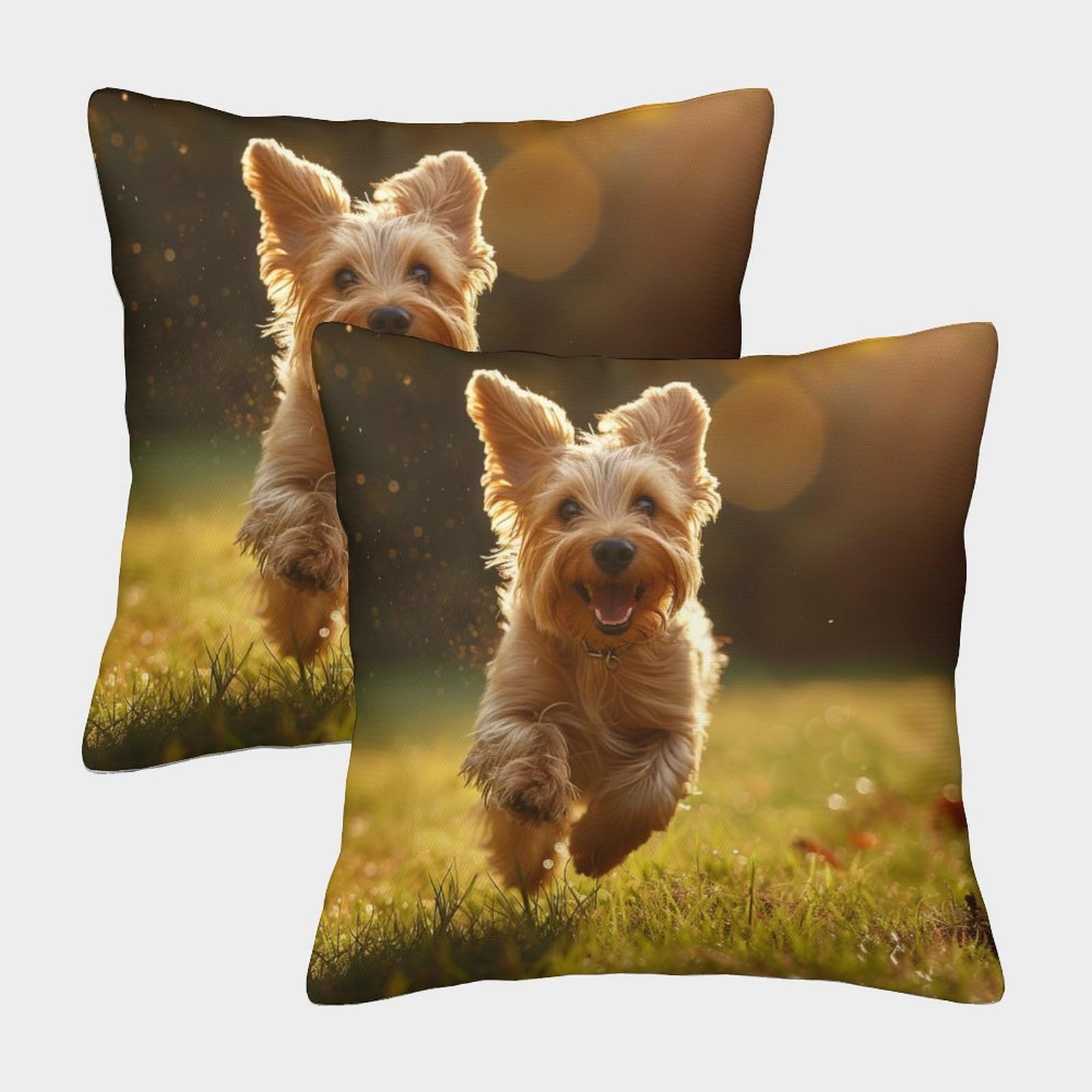 Border Terrier Dog Cushion Cover Set of 2 Decorative Machine Washable Pillowcases Square Pillow Cases with Invisible Zipper Cushion Covers For Livingroom Sofa Bedroom Throw Pillow Cases 50x50cm