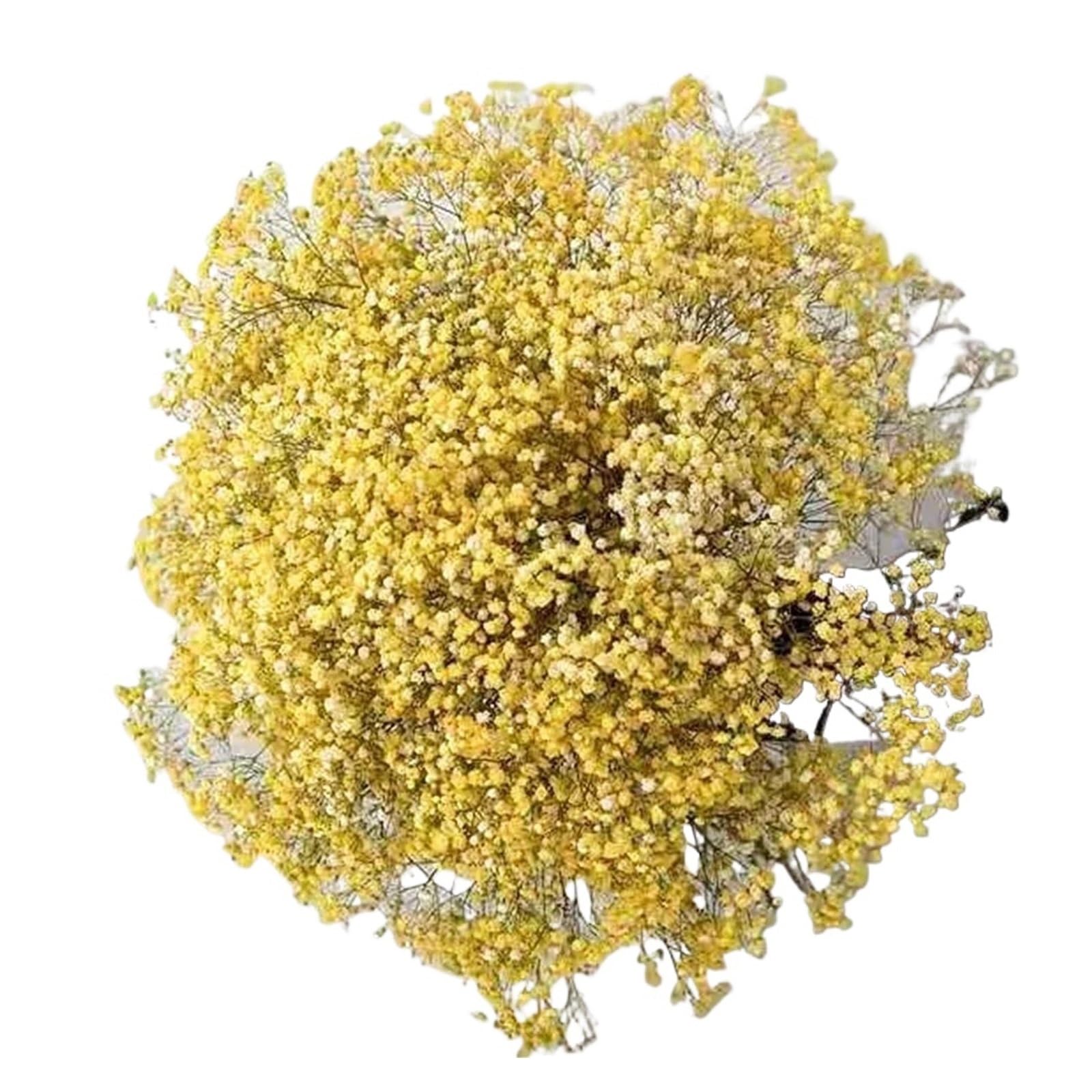 WJIAYAO dried gypsophila flowers 40-50cm Dried Flowers Gypsophila Paniculata,Baby's Breath Flower Bouquets Wedding Decoration,Home Decor(YELLOW,60g (40cm))