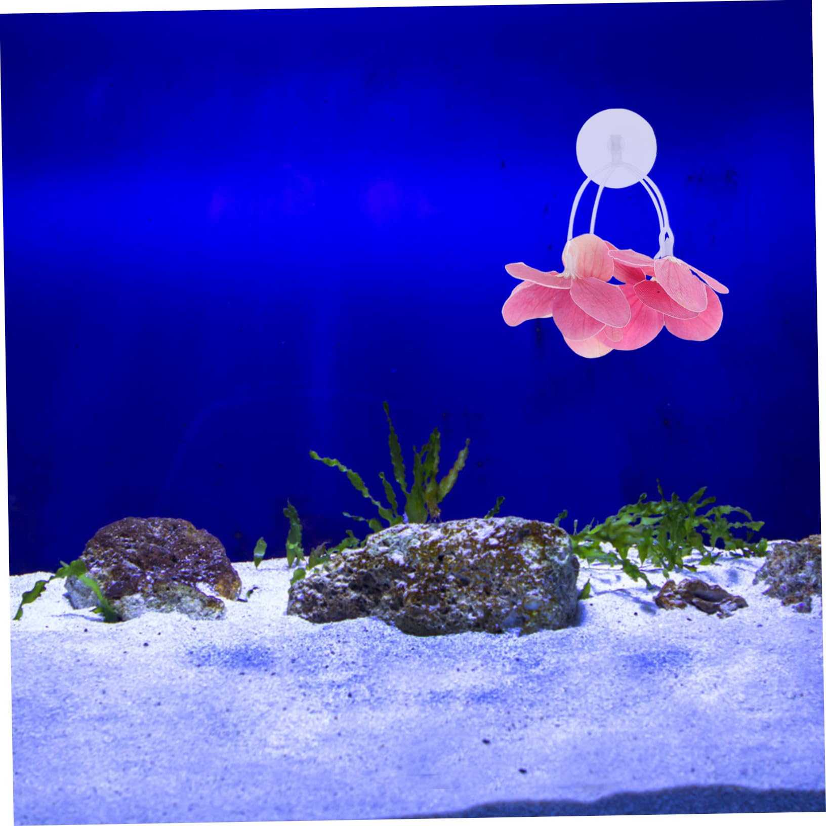 Toyvian Plantes Aquatiques Artificielles Abs Robustes Décoration Aquarium Naturelle Adaptée pour Poisson et Aquarium Eau Douce