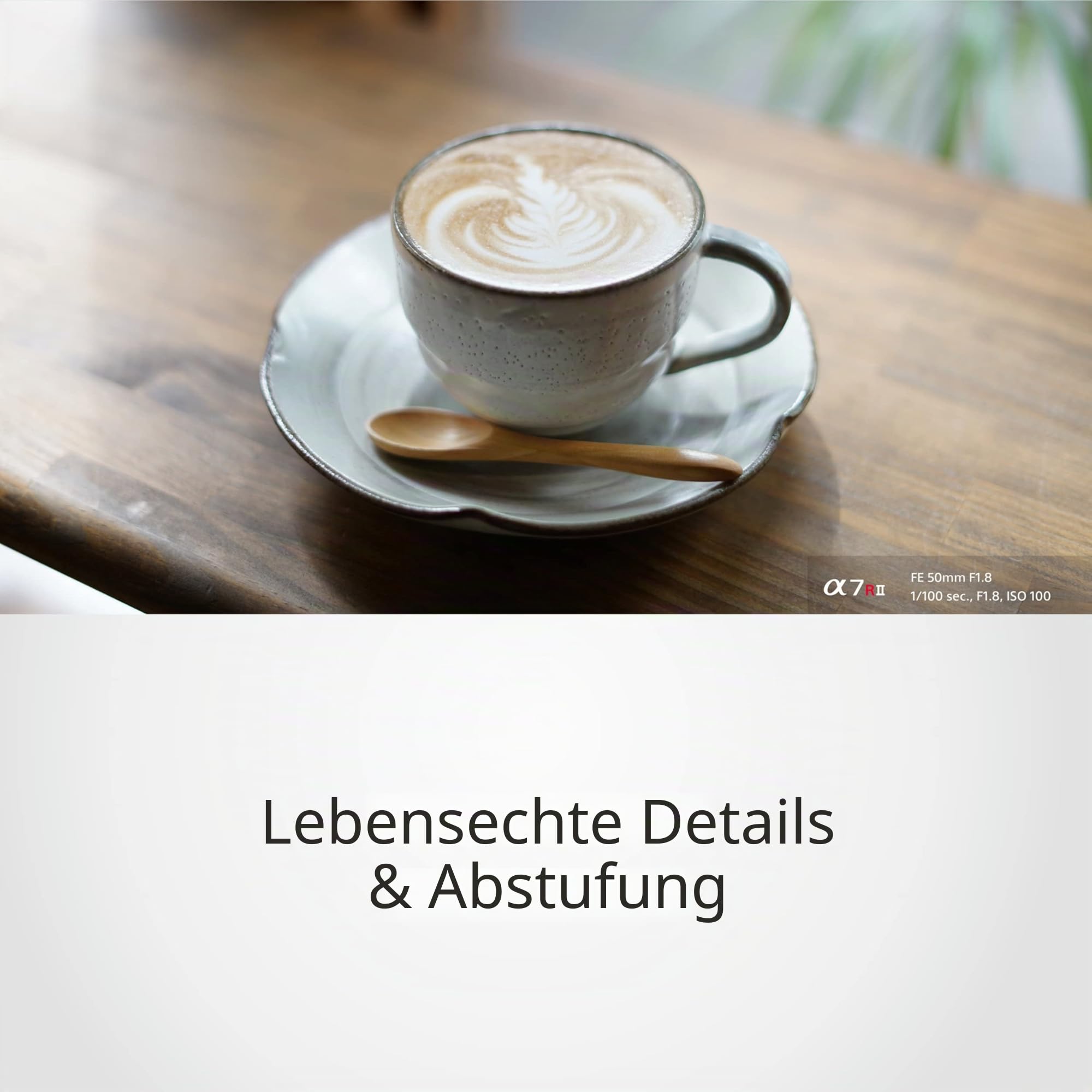 Sony SEL-50F18F 50mm f/1.8 Festbrennweite für Sony E-Mount (APS-C und Vollformat, lichtstark, leiser Autofokus, ideal für Porträts, kompatibel mit Sony A7-Serie & ZV-E1, A6000-Serie & ZV-E10)