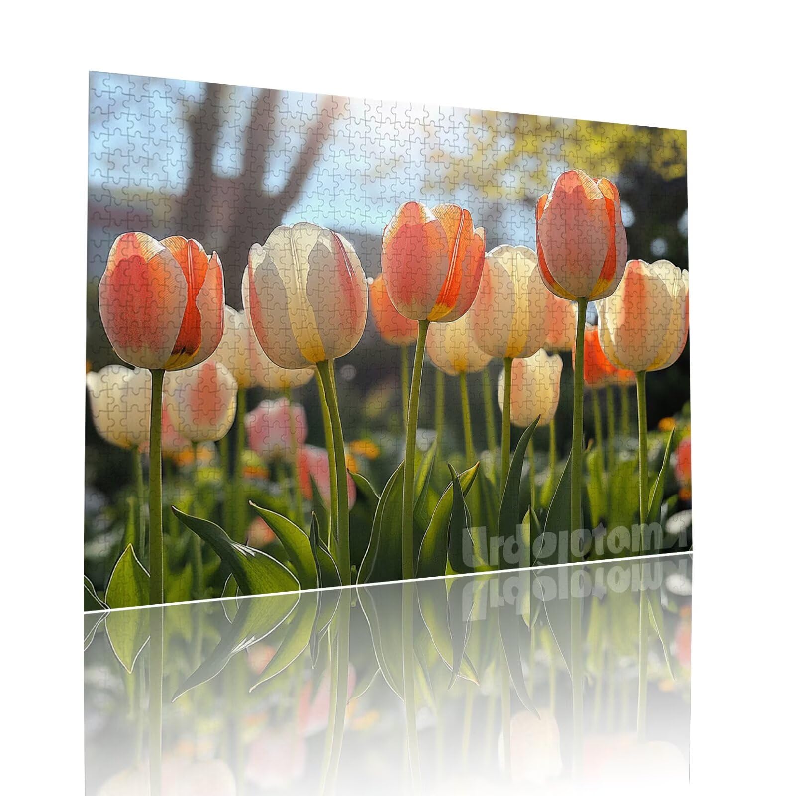 Blume Puzzle für Erwachsene Kinder Anspruchsvoll 5000 Teile Impossible Klassische Puzzles Schwer Anlage ab 8 9 10 Jahre Mädchen Jungen Jigsaw Kunst Educa,für Dekoration und Geschenke 105x156cm t-351