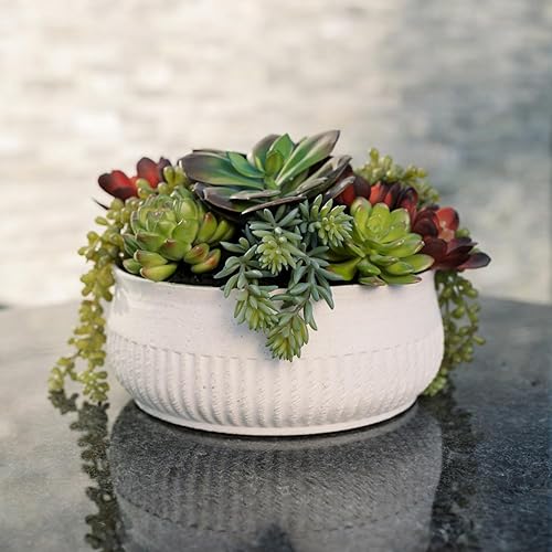 Round Faux Succulent Arrangement, 12" Premium Artificial Indoor Plant Enhances
