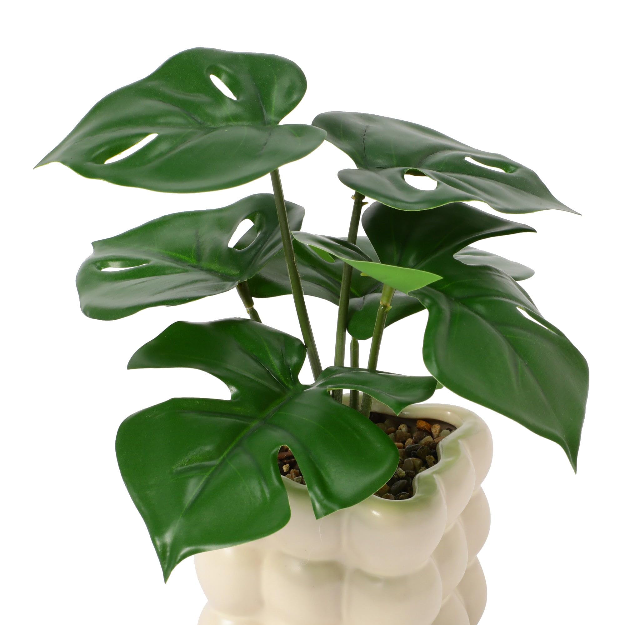 Francfranc 植物モンステラのインテリアアート Amazon｜Francfranc フランフラン ポット付きアートグリーン