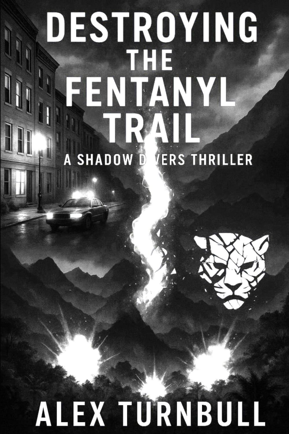 Destroying The Fentanyl Trail: At Zero Hour Everything Burns (The Shadow Divers)