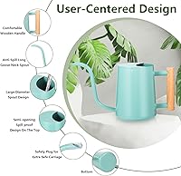 Vista 6 de Regadera para Plantas de Interior, 35oz Regadera Pequeña de Metal de Acero Inoxidable para Interiores, Regadera Decorativa Moderna con Boquilla