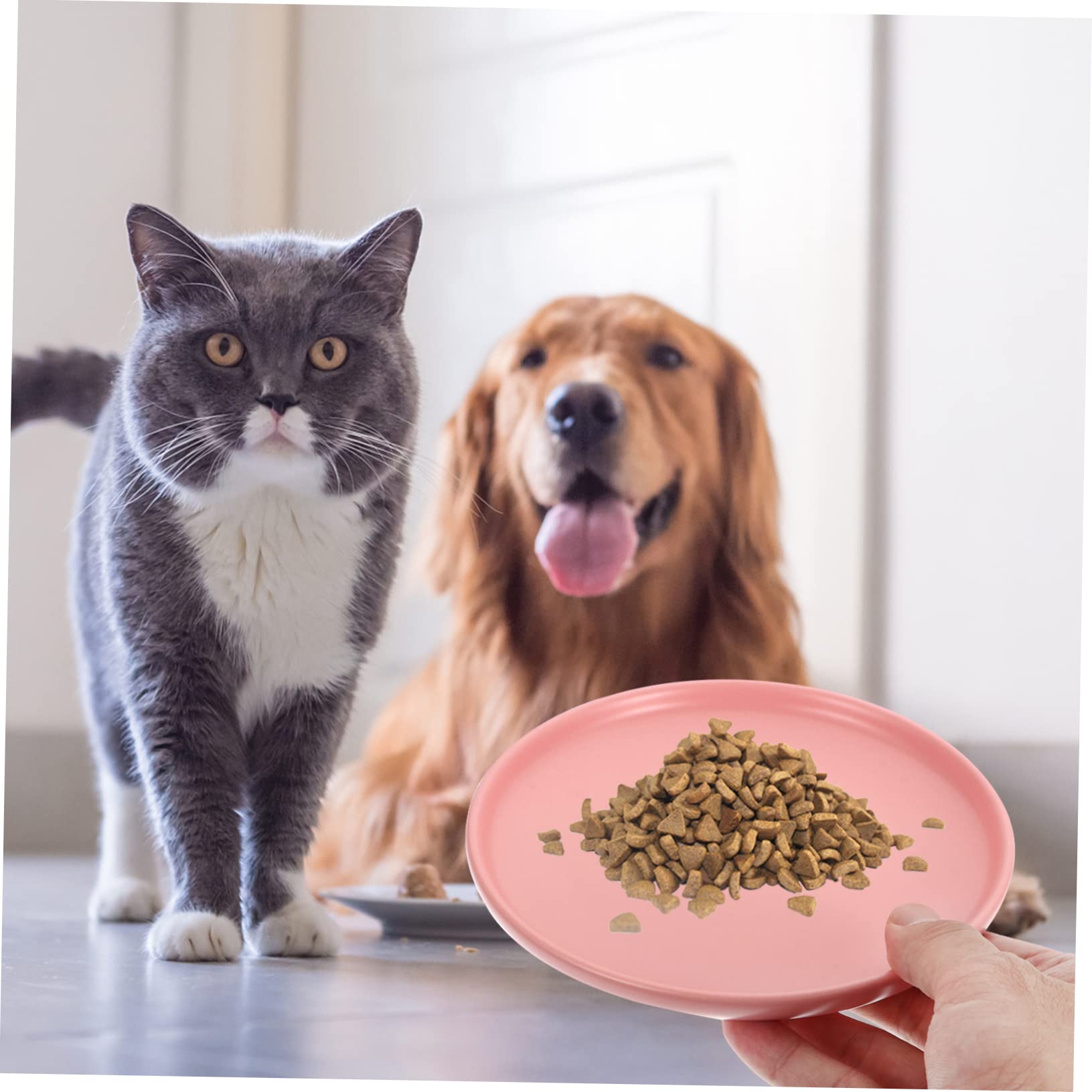 COLLBATH Ceramic Cat Dish Non Spill Feeding Bowl for Cats Kittens Heavy Duty Design for Comfort Suitable for Food Water Prevents Whisker Fatigue for Indoor Pets