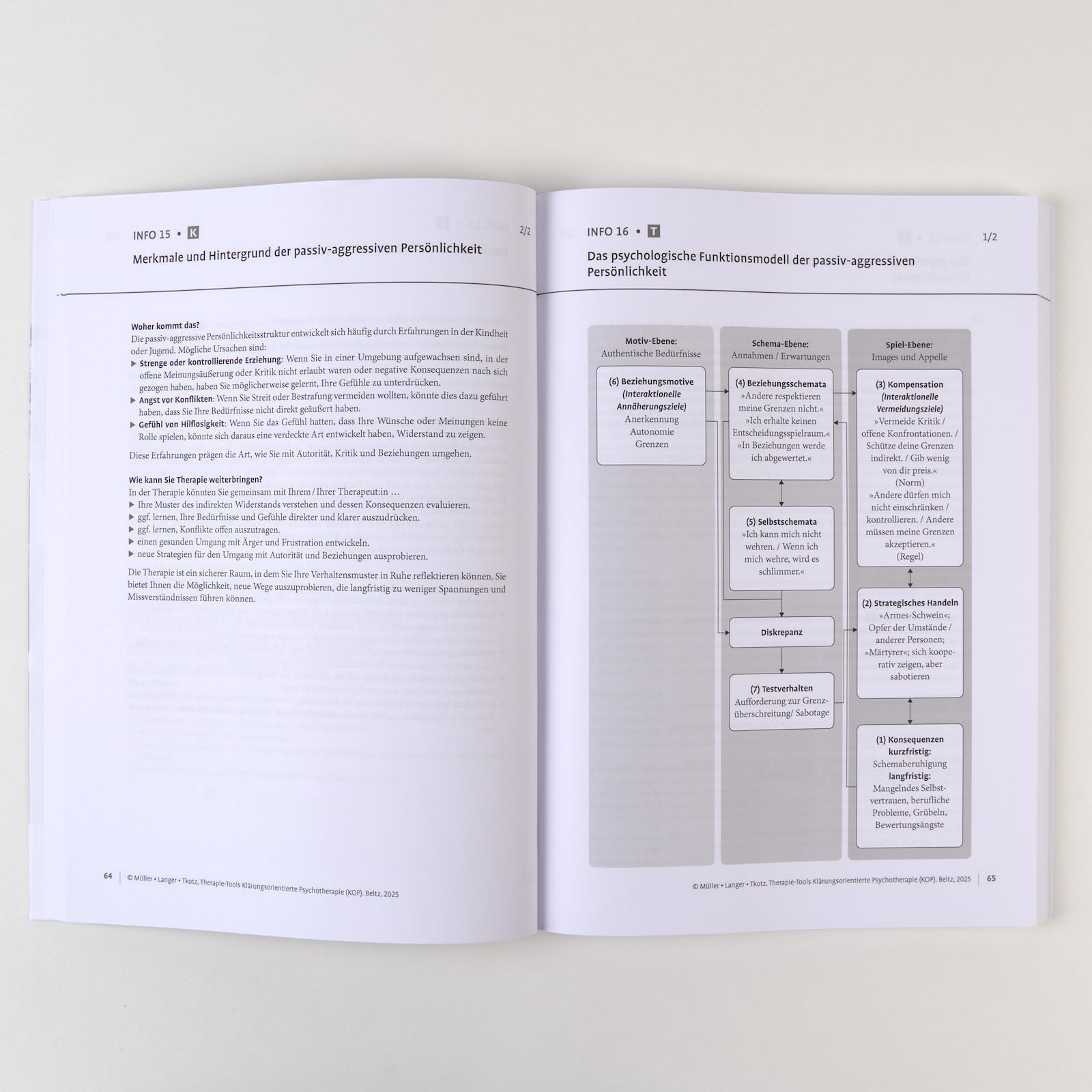 Therapie-Tools Klärungsorientierte Psychotherapie (KOP): Mit E-Book inside und Arbeitsmaterial