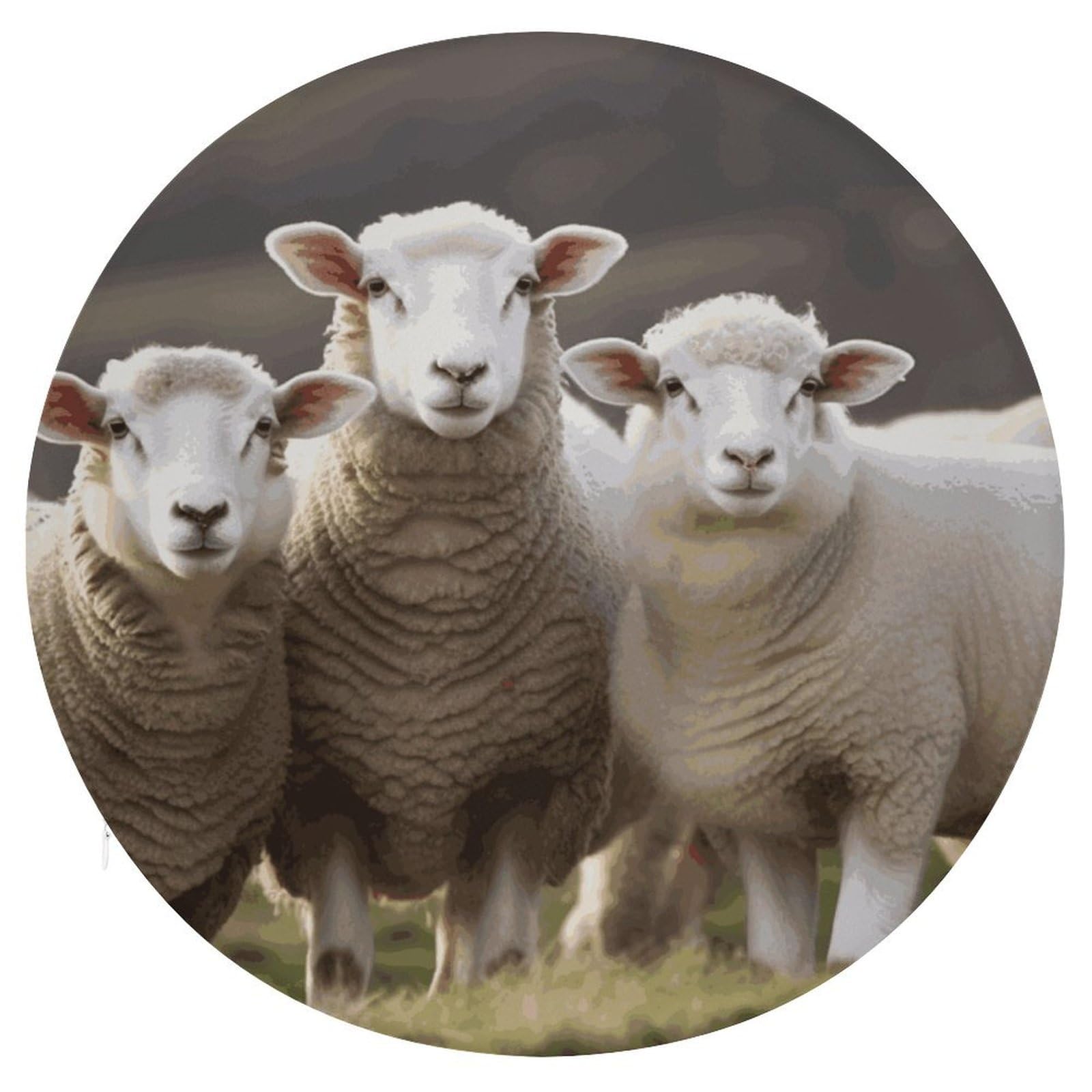 Adfgyerh Style Sheep And Lambs Cushion Memory Foam Pillow Core，Seat Cushion Detachable Design，Chair Cushions Suitable For All Seasons, And Can Be Used In Offices, Dining Rooms, Homes, And Other Settings.