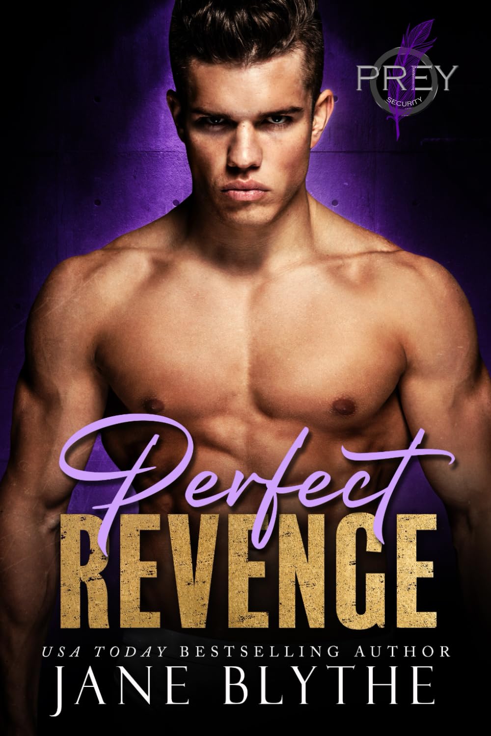 Perfect Revenge: 1 (Prey Security: Delta Team)