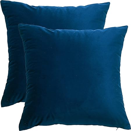 big w throw pillows