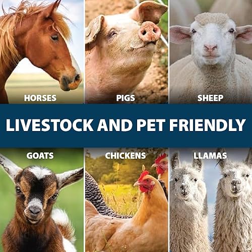 Vista 7 de Airmax Depósito de Defensa para Ganado, Limpiador de Canales de Agua para Ganado, Limpia Tanques de Agua Potable para Caballos, Vacas, Cabras