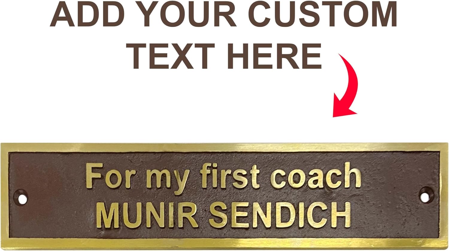 Personalized Brass Name Plaque| Custom 3D Engraved Text| Cast Brass Sign Plate for Office Door, Desk, or Home (18X8 Inches)