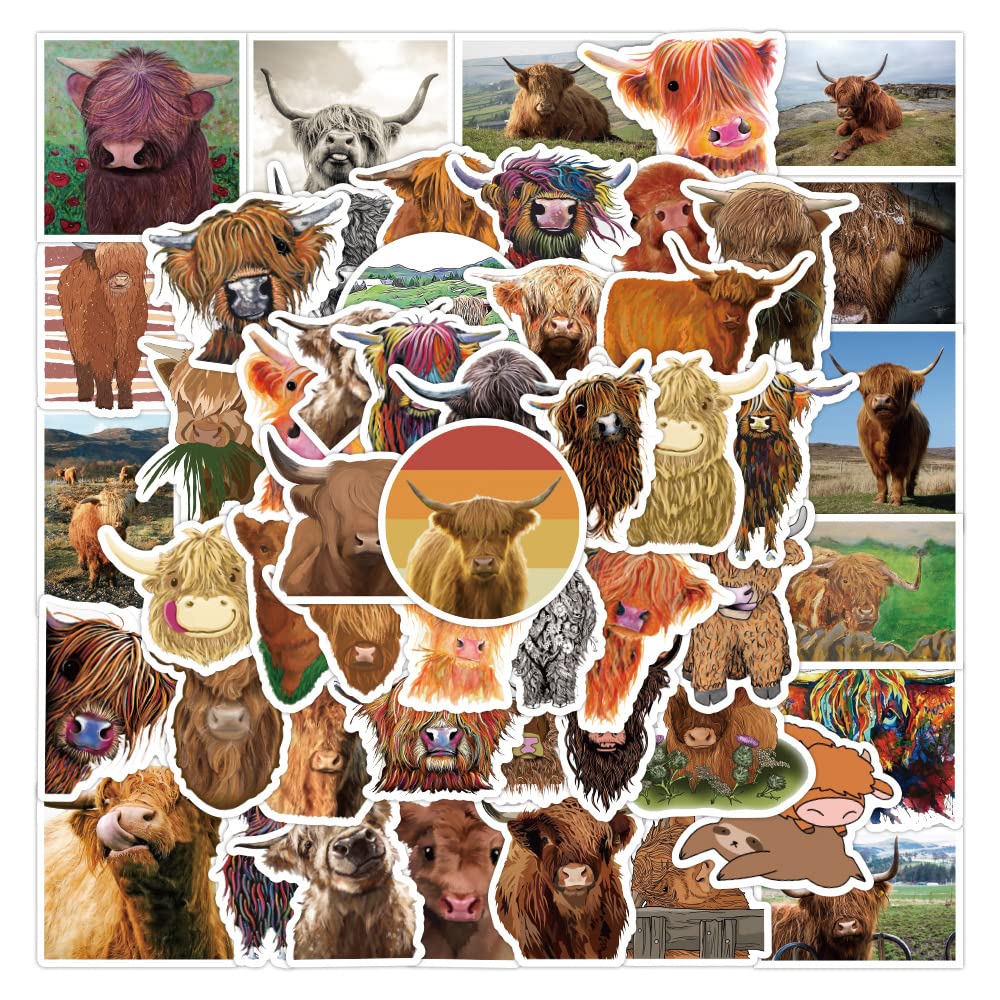 Buy Highland Cattle Stickers Cool Trendy Highland Cow Decals for Laptop