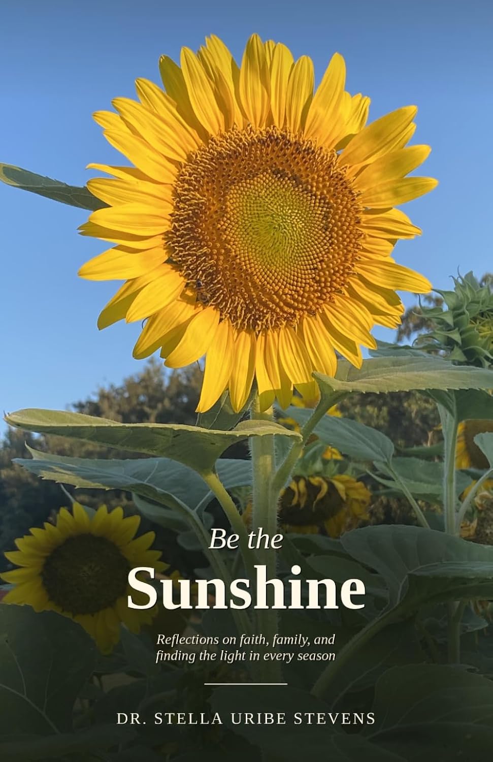 Be the Sunshine: Reflections on faith, family, and finding the light in every season