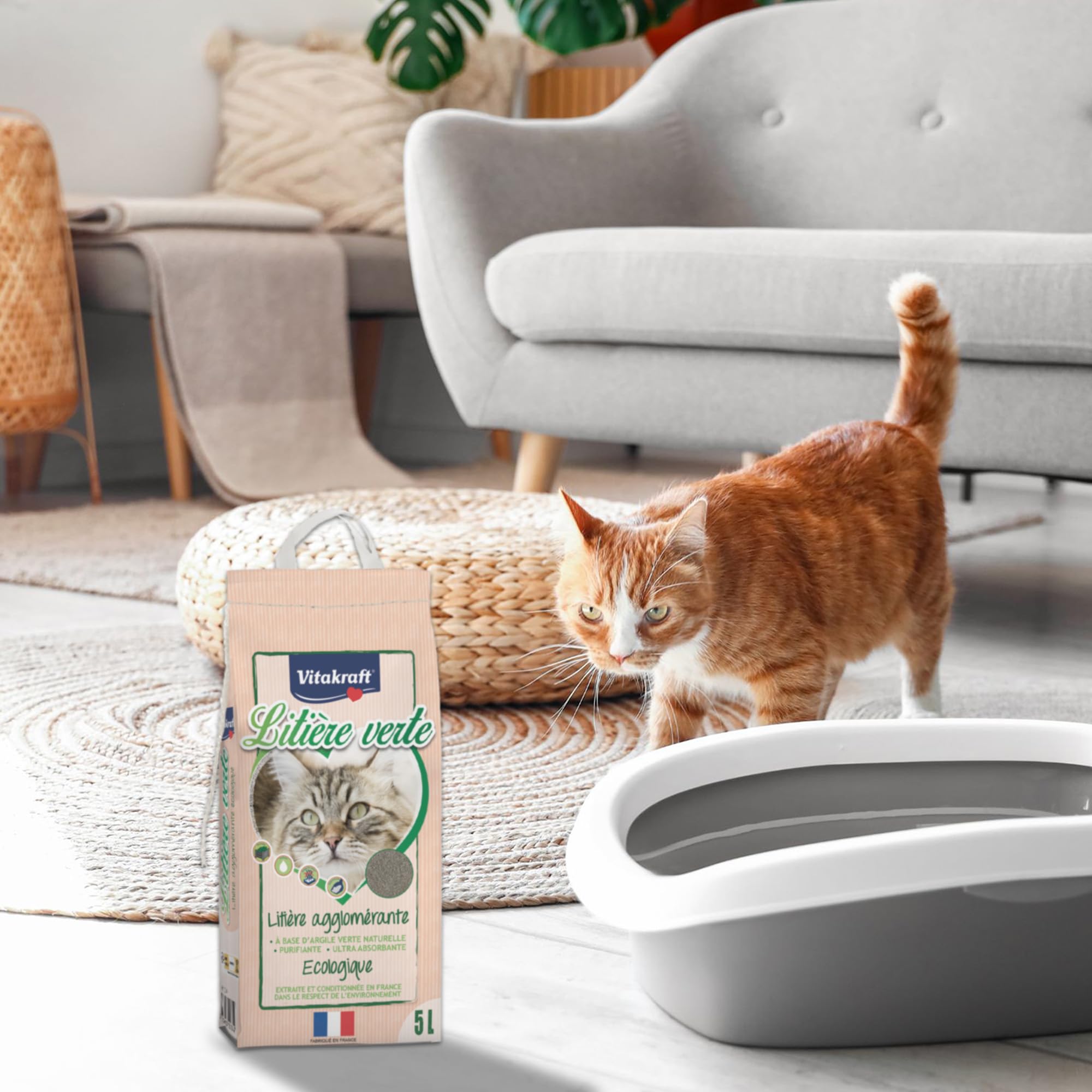 VITAKRAFT - Grnes Katzenstreu  klumpend, umweltfreundlich und  kompostierbar fr Katzen  geruchshemmend  sehr saugfhig  reinigend   recycelbarer Beutel mit 5 l Fassungsvermgen : Amazon.de: Haustier