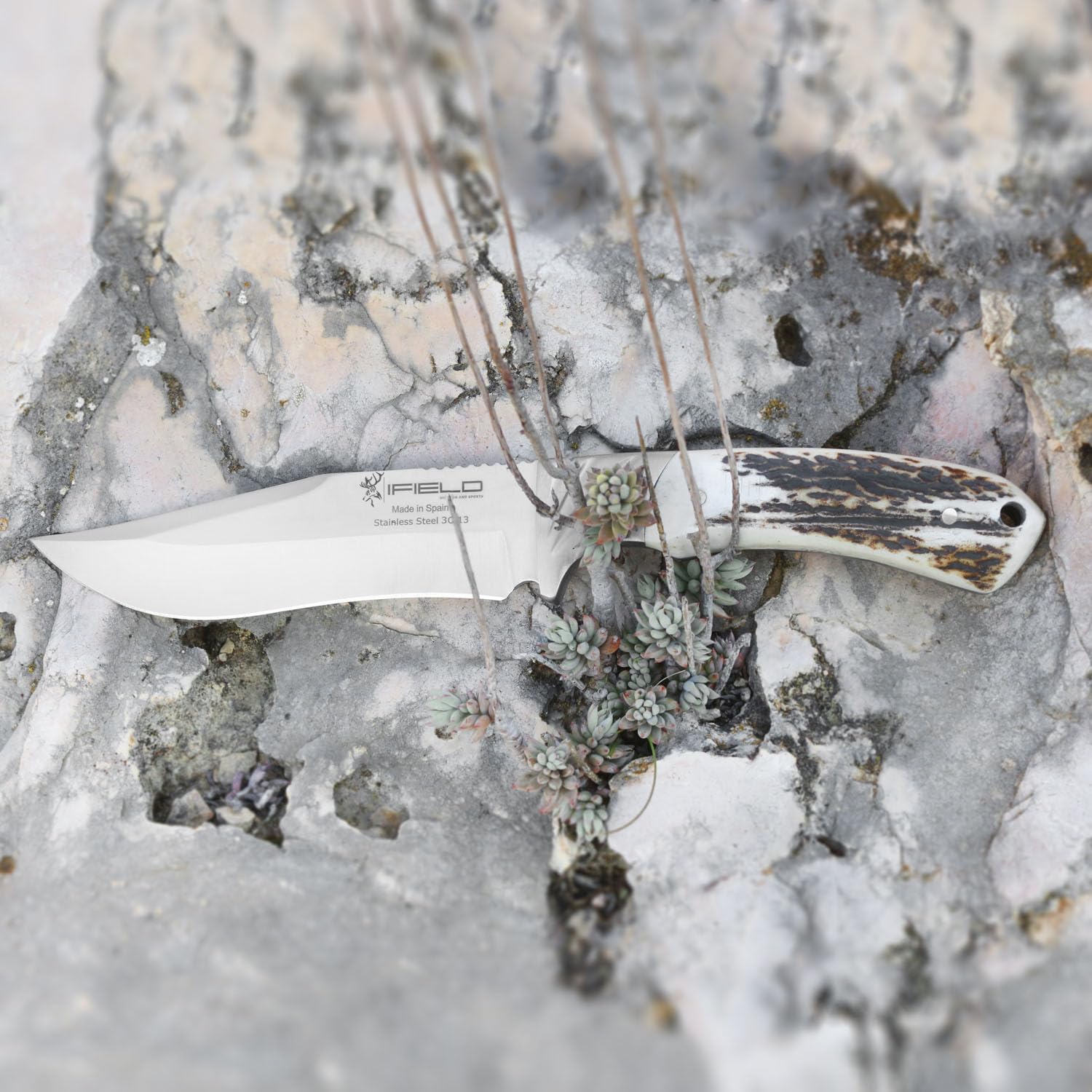 iFIELD EL29013 Multifunzionale escursionismo, caccia e sopravvivenza coltello per l'esterno, Deer Handle, lama in acciaio inox 3Cr13, di alta qualità fodero colore marrone