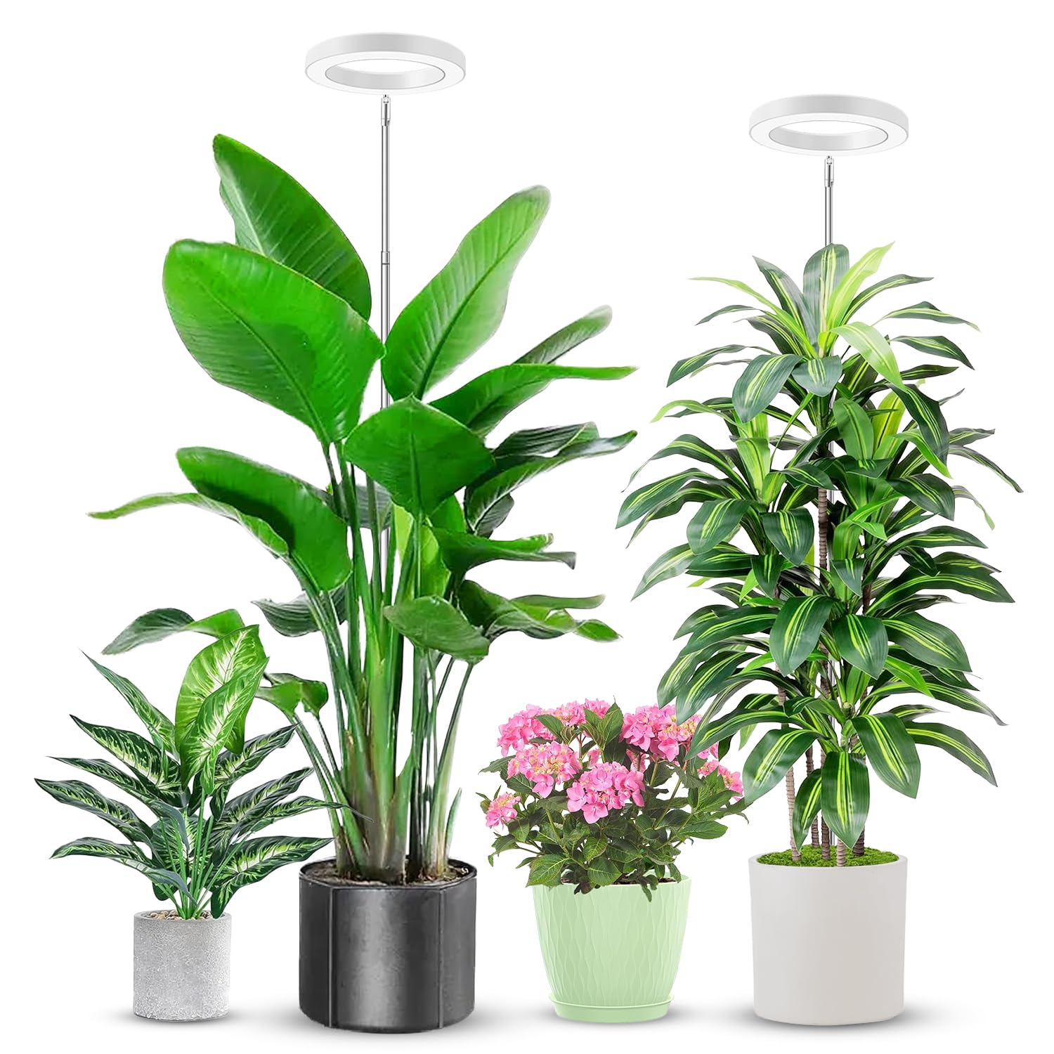 Aokrean 6.3in Grow Lights for Indoor Plants,6000K Full Spectrum Plant Light