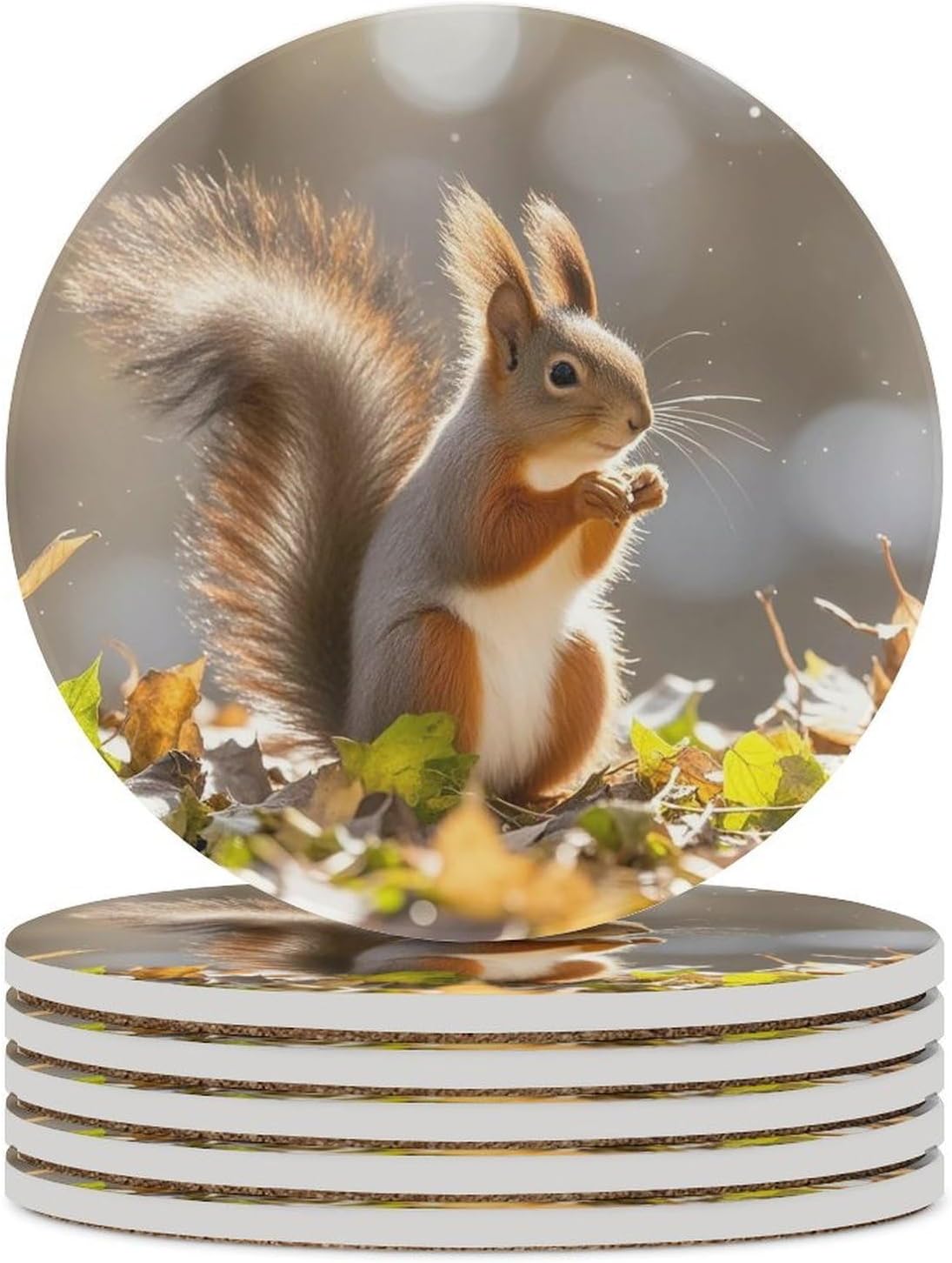 6PCS Autumn Squirrel Coasters Non-Slip Round Drink Coasters with Ceramic Stone and Cork Base, Heat Resistant Absorbent 33.00Stone Coaster Set for Kinds of Mugs and Cups, 4 Inch