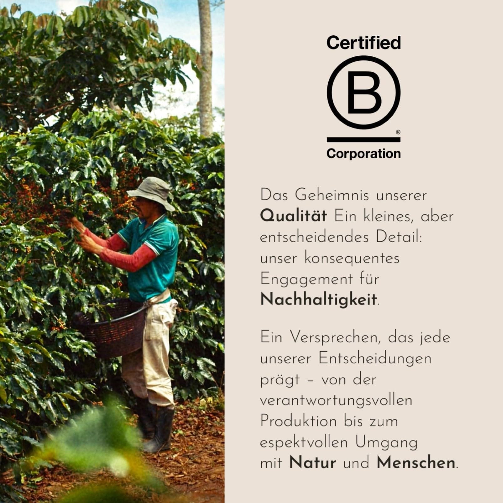 illy, Kaffeebohnen Arabica Selection Kolumbien, 6 Dosen à 250g | 100% Arabica mit Fruchtigen Noten von Zitrusfrüchten und Roten Früchten, Geschmack mit Zarter Säure, 1,5 kg Insgesamt