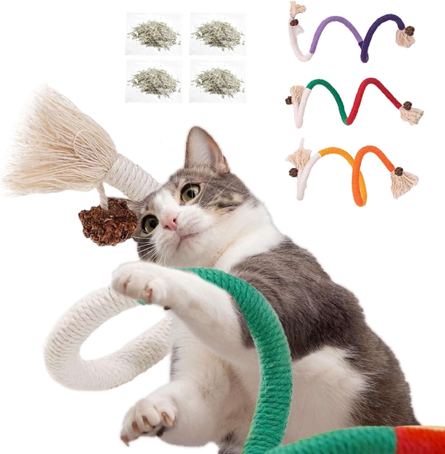 banmagately Cat Toys for Indoor Cats, Natural Catnip