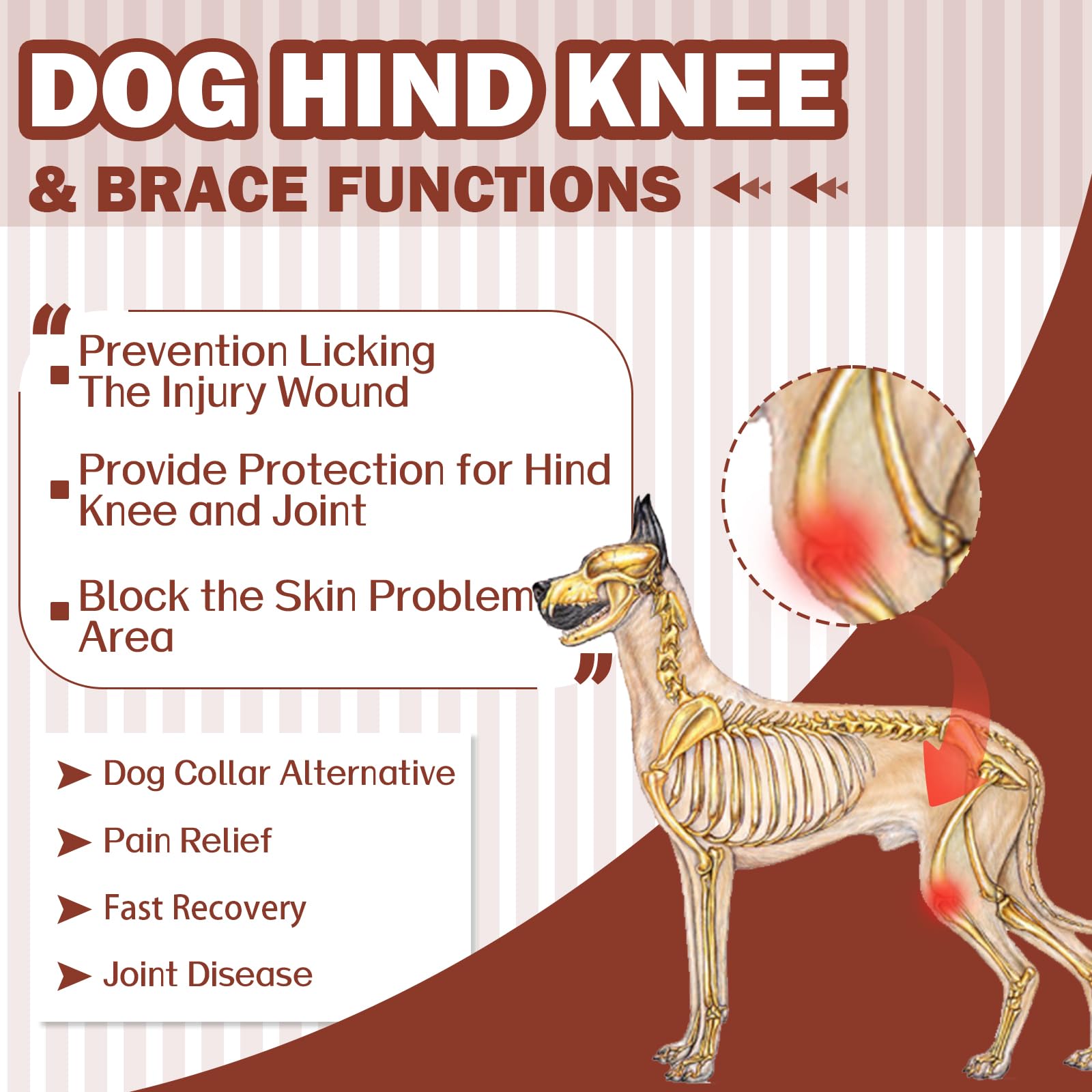 Combinaison De Convalescence pour Chien, Body Post Opératoire Femelle Mâle, avec Pattes Arrière, Anti Léchage, Alternative à La Collerette