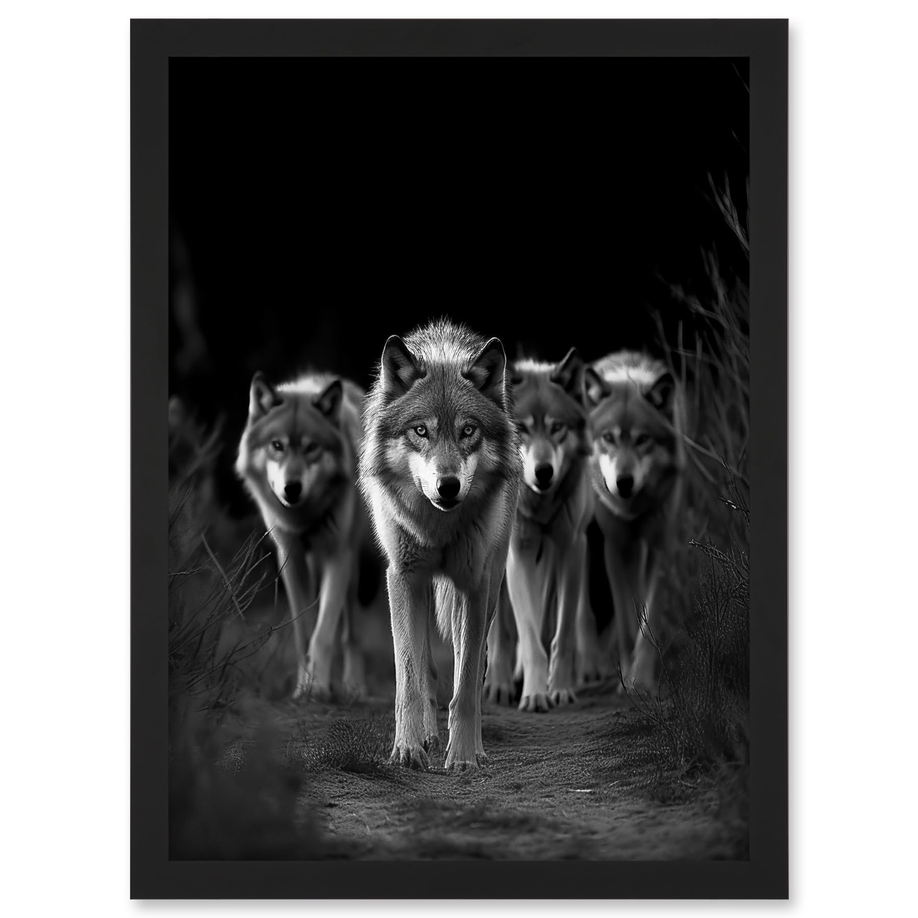Artery8 Framed Black A3 A Pack Of Wolves Wild Animal Black And White Photo Artwork Framed A3 Wall Art Print