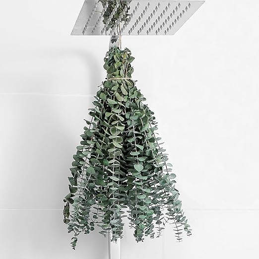 10 Pcs Dried Eucalyptus Stems 17" Real Eucalyptus for Shower Hanging 100% Made from Fresh Leaves, Wedding, Home, Farmhouse, DIY Spring Decor Bathroom Decor Home Decor