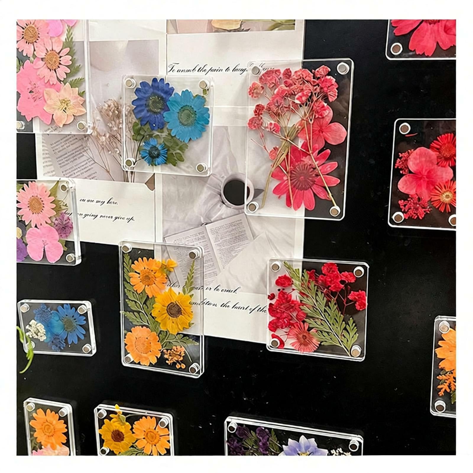 Cadre photo magnetique en acrylique pour fleurs pressees et herbiers