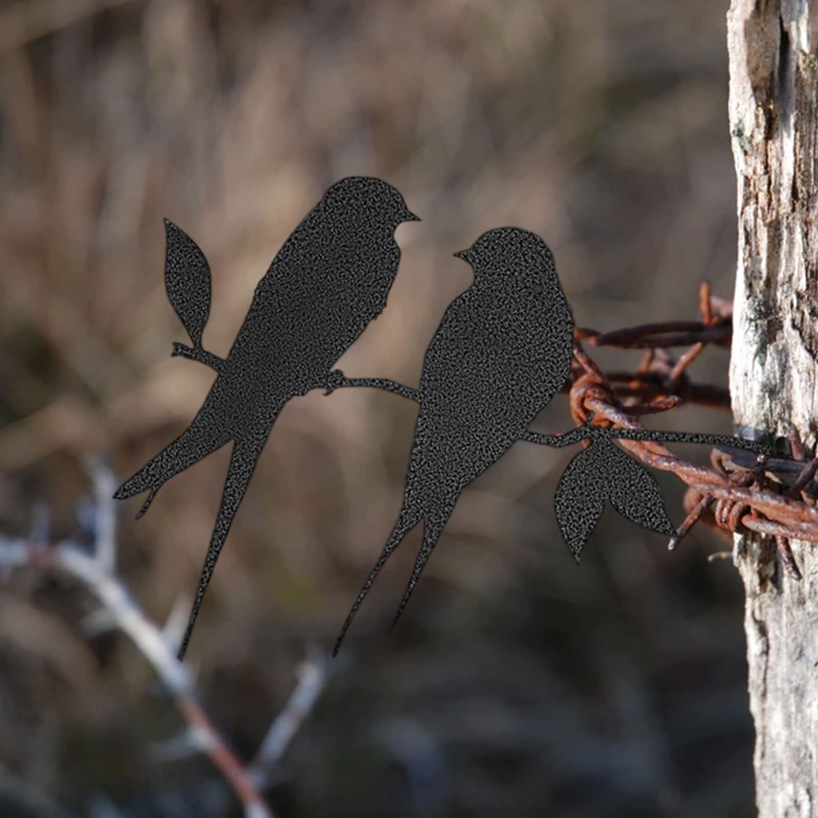 Décoration Murale Ronde Oiseaux Diabily Rouille 36cm - Flora Déco