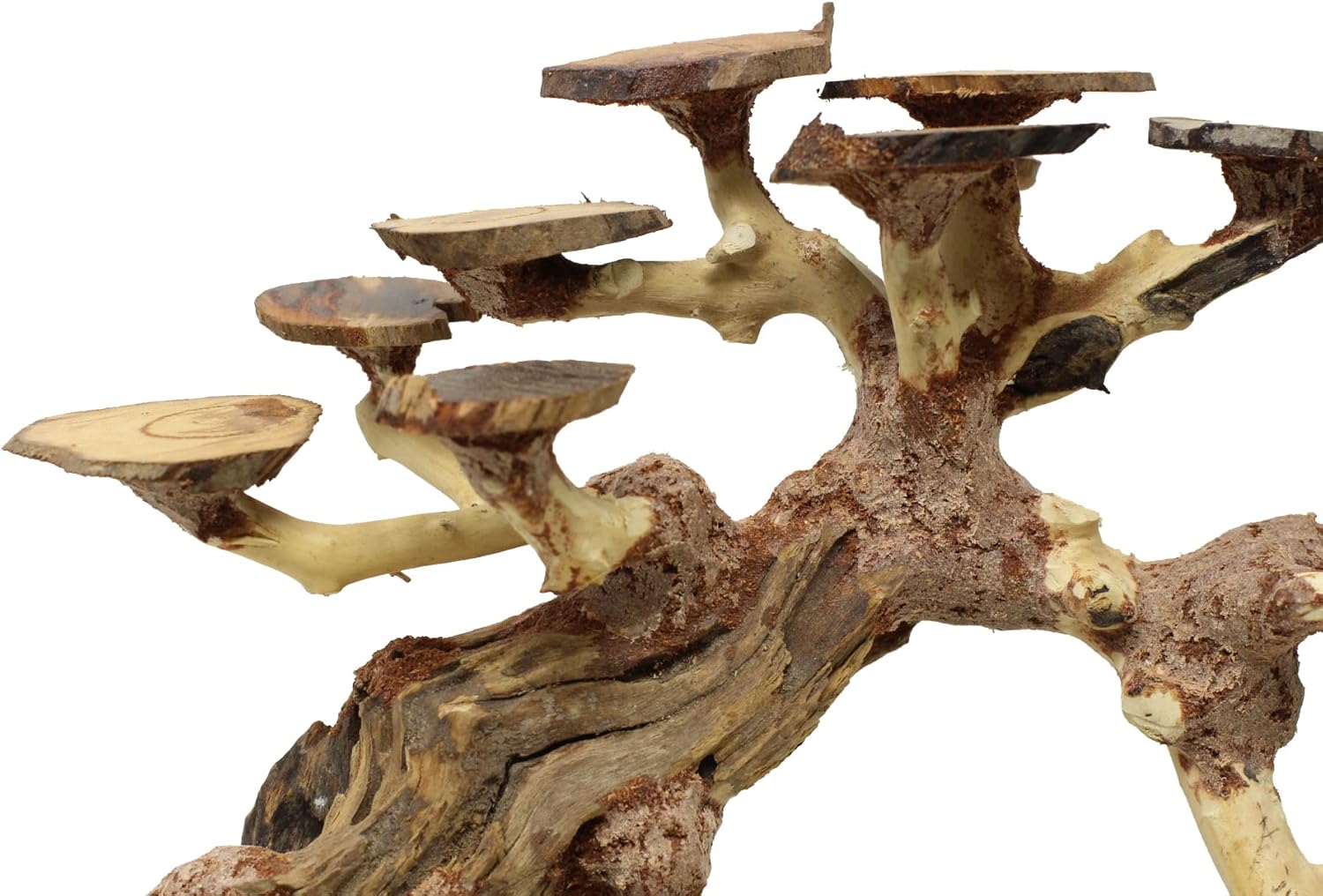 Bonsai Driftwood Aquarium Tree AWQ Random Pick (9in Height) Natural, Handcrafted Fish Tank Decoration | Easy to Install