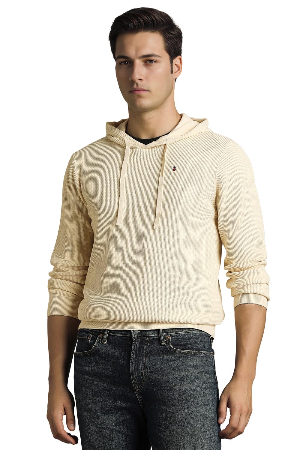 louis philippe Men Sweater-picture-29